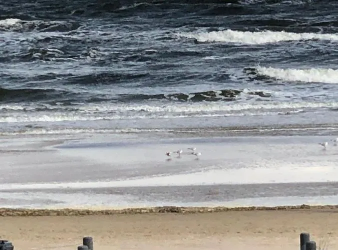 Ostseetraum Lägenhet *